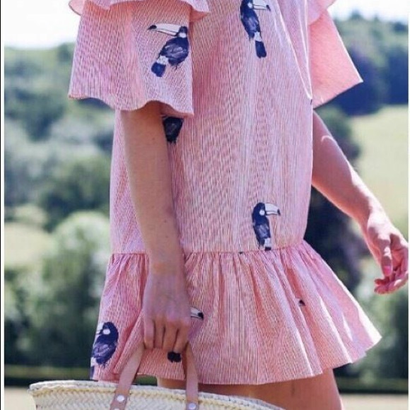 Zara Basic Pocketed Stripe Ruffle Toucan Dress - Picture 8 of 11